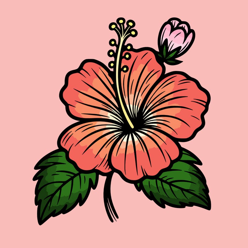 hibiscus flower