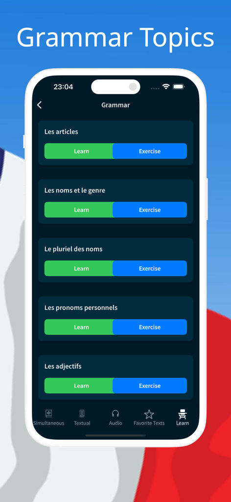 다양한 언어 규칙을 학습하고 연습할 수 있는 옵션과 함께 프랑스어 문법 주제를 보여주는 모바일 화면