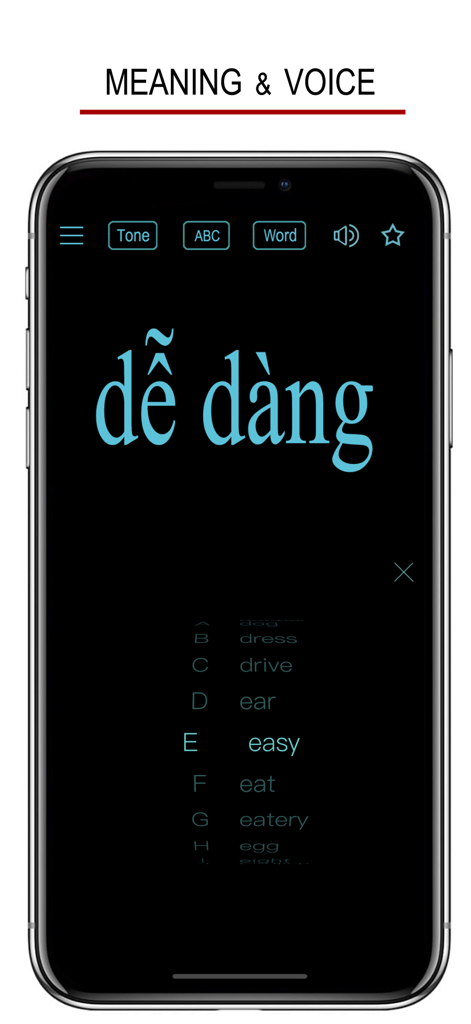 単語の意味と音声発音機能を示すベトナム語アプリのインターフェース。