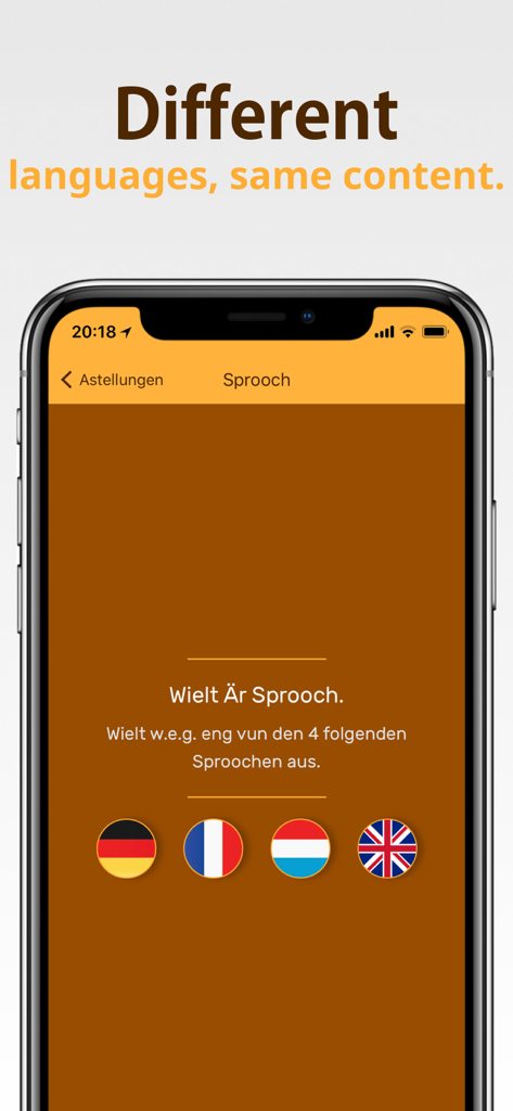 Snack Track - Écran de sélection de la langue dans l'application Snack Track montrant quatre icônes de drapeau pour le support multilingue