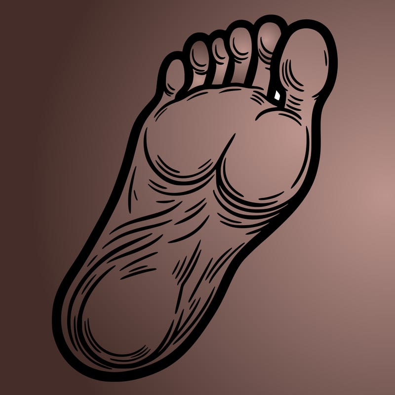 foot