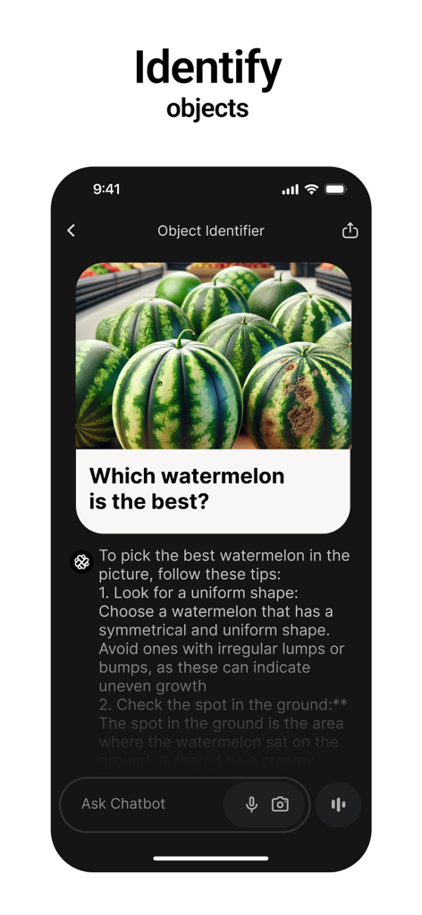 Chatbot App - AI Assistant - Captura de pantalla de la aplicación Chatbot que identifica objetos en una foto y proporciona consejos sobre cómo elegir la mejor sandía.