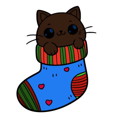 cute cat in a sock