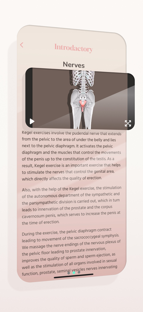 Kegel exercise set - Educational screen of the Kegel exercise app for men explaining the role of nerves in pelvic floor health with a 3D anatomical model.