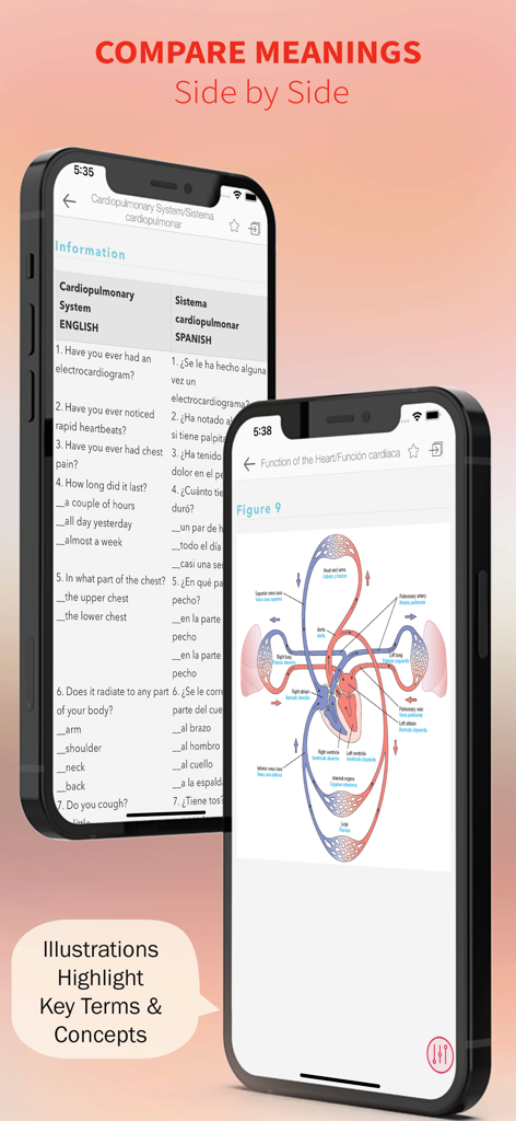 Spanish-English-Spanish Dict - Interfaz de la aplicación de diccionario médico que muestra preguntas bilingües lado a lado y un diagrama anatómico del corazón