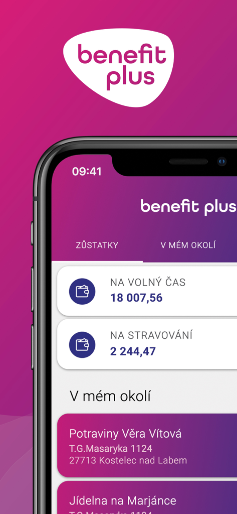 Benefit Plus app dashboard showing leisure and meal voucher balances