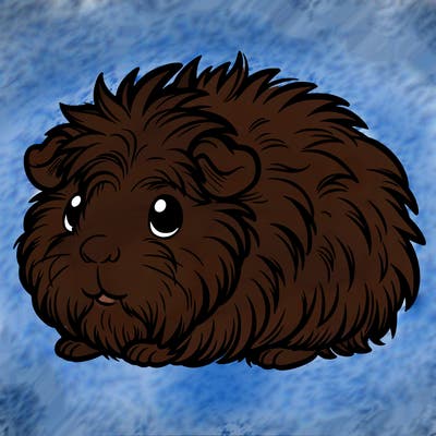 fuzzy guinea pig