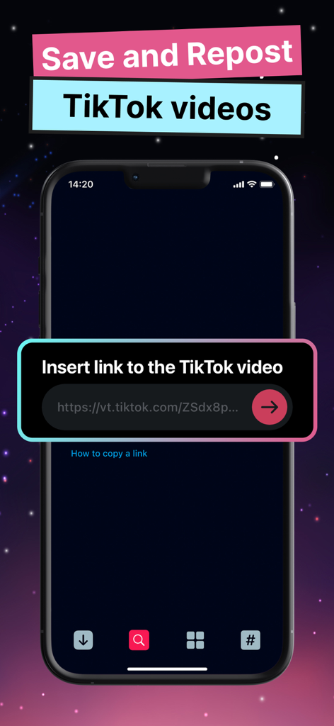 EasyTox app interface showing the option to save and repost TikTok videos by inserting a link