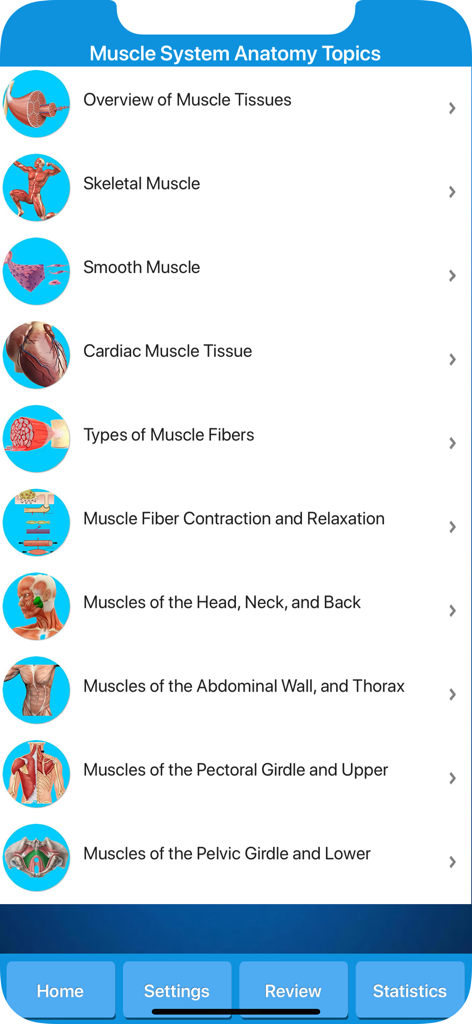 Muscle System Anatomy - Education App | MWM