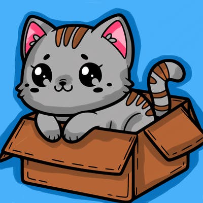 cute cat in a box