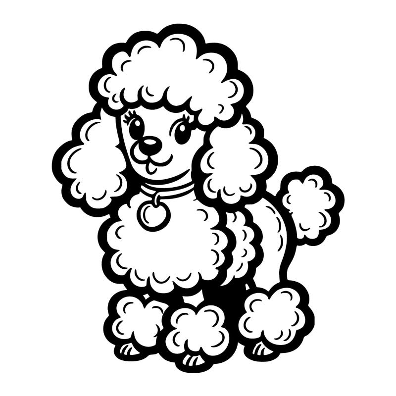 poodle
