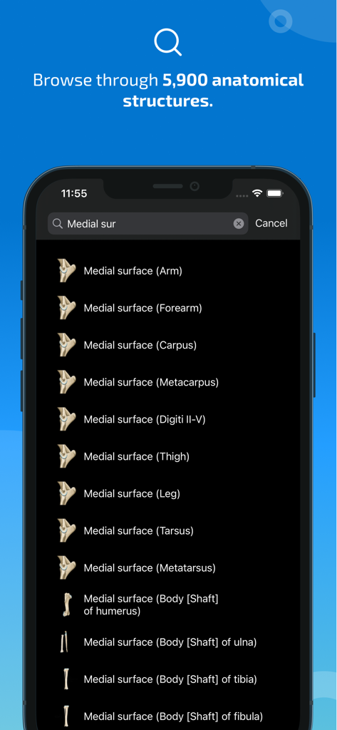 IMAIOS vet-Anatomy - IMAIOS vet-Anatomy app search results for anatomical structures