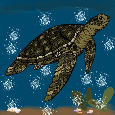 sea_life_03_new