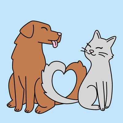animals_22