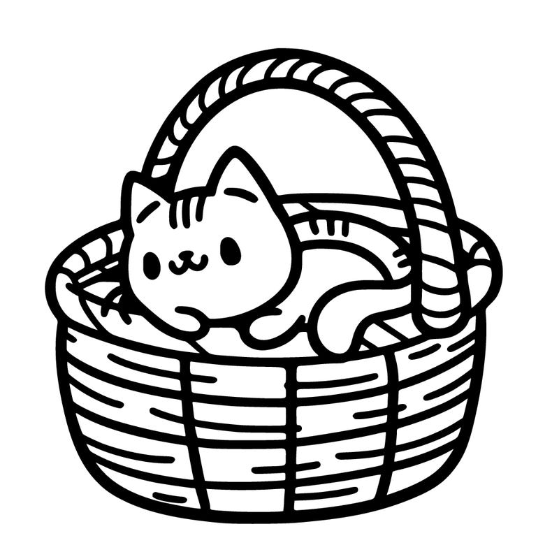 cat in a basket