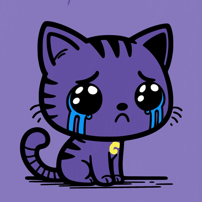 sad cat
