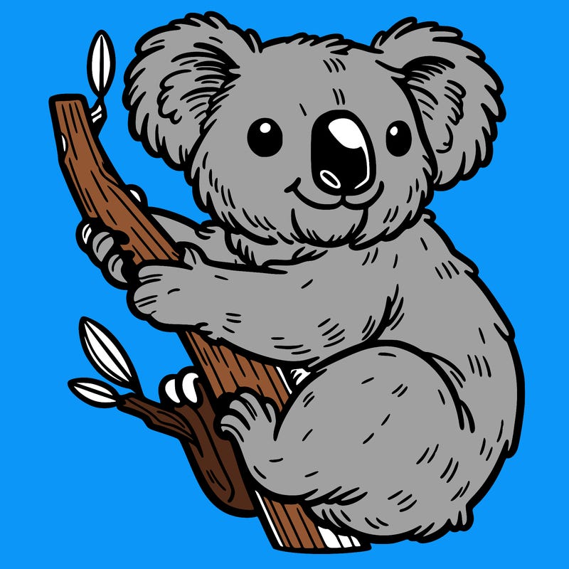 koala