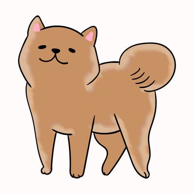 animals_29
