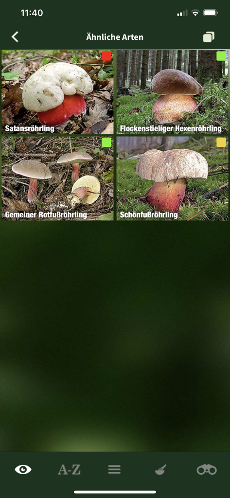 Schermata dell'app di identificazione dei funghi che mostra specie simili con indicatori di commestibilità codificati a colori