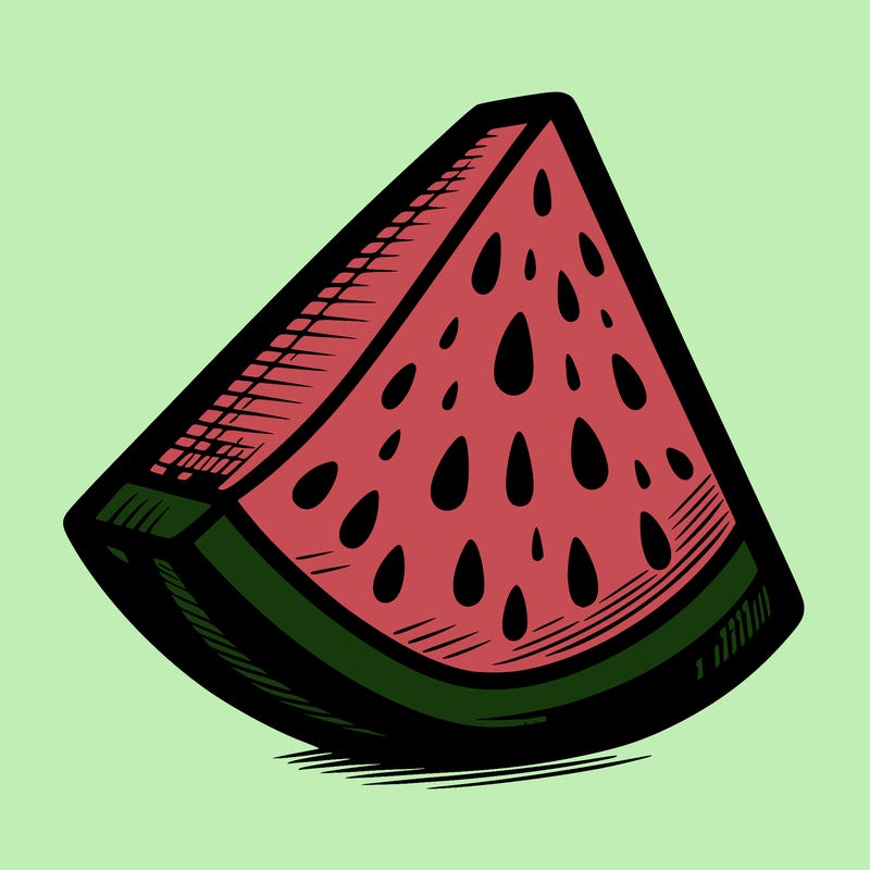 a wedge of watermelon