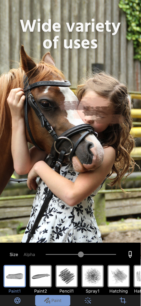 Mosaic plus 앱 인터페이스에서 프라이버시를 위해 눈에 창의적인 페인트 흐림 효과가 적용된 소녀와 말 사진 표시