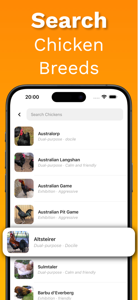 Chicken Identifier – RoostScan - Pantalla de la aplicación RoostScan que muestra una base de datos de razas de pollos consultable con fotos y rasgos de temperamento