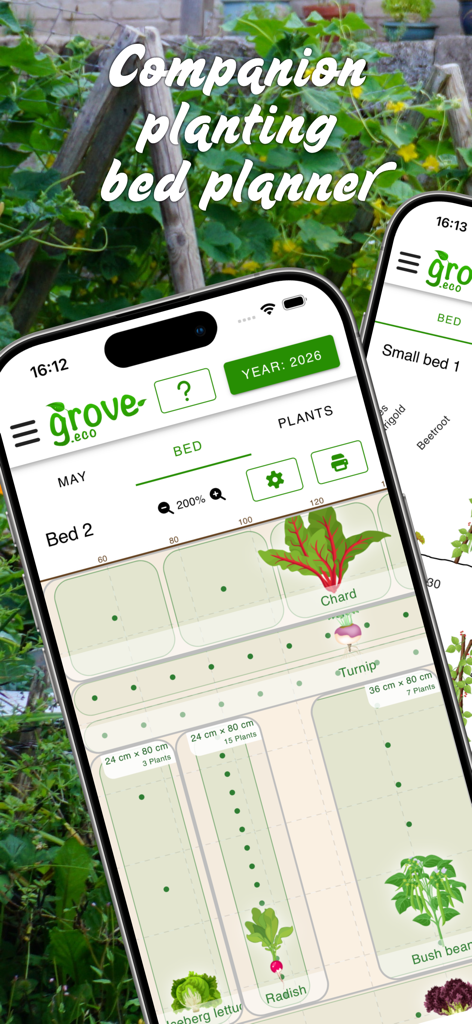 grove: Companion Plant Planner - A mobile phone displaying the grove app digital garden bed planner with a top-down view of vegetable rows and spacing measurements.