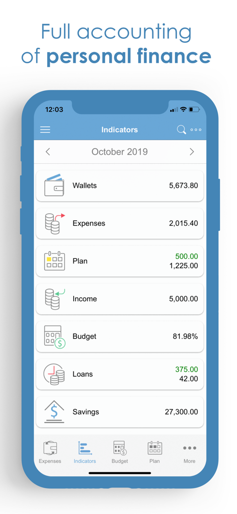 Mobile app dashboard displaying personal finance indicators including income expenses and savings