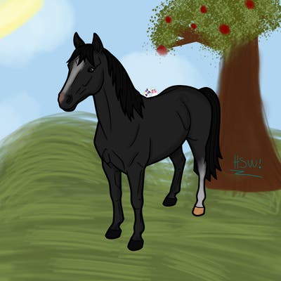 a horse. no background.