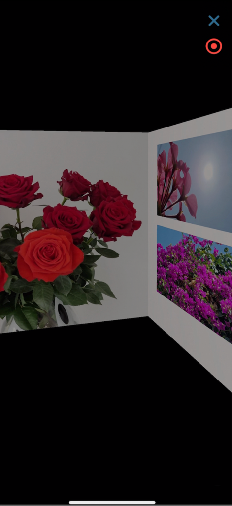 Un portal virtual de realidad aumentada que muestra una galería de fotos de flores en paredes 3D.