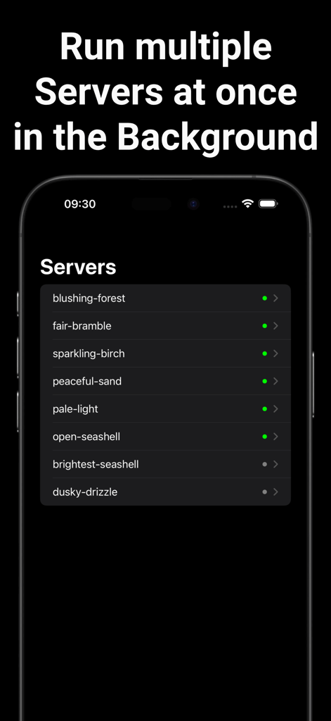 PocketServer: Folder Sharing - A list of active servers running in the background on the PocketServer app.