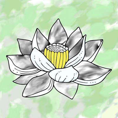 flowers_08