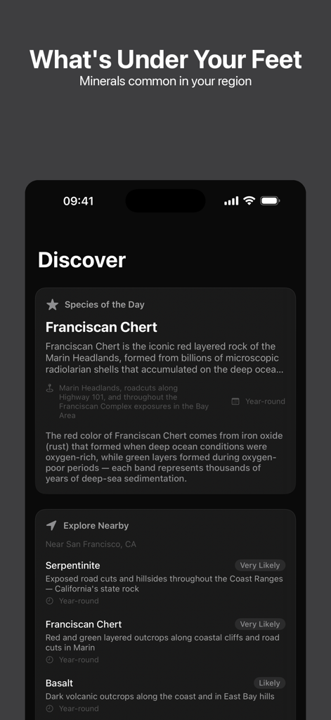Rockr AI: Rock Identifier - Rockr AI Mobile App-Oberfläche zeigt den Discover-Bildschirm mit Spezies des Tages und nahegelegenen Mineralien