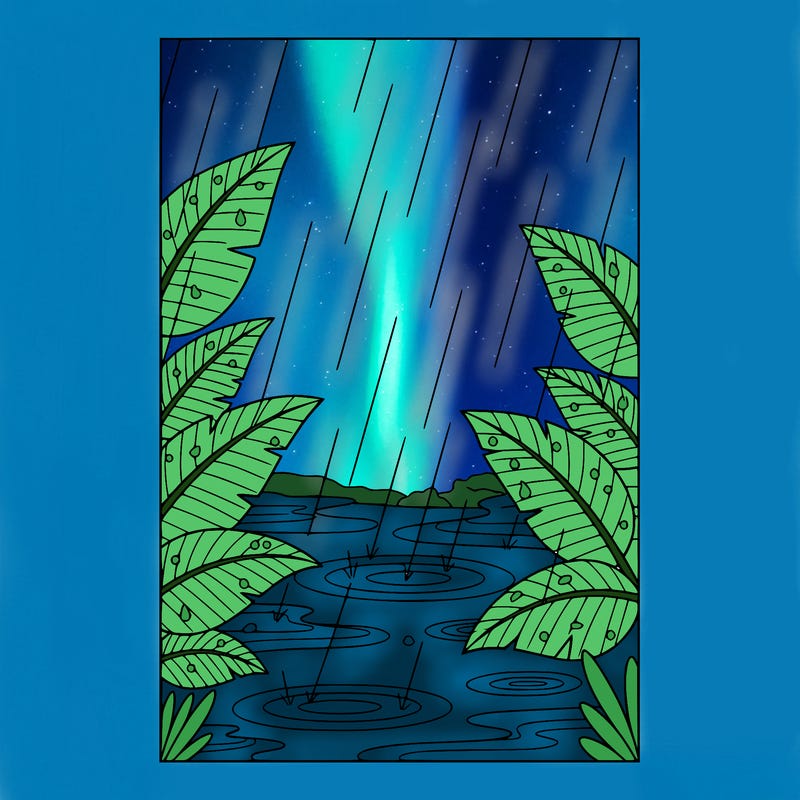 rain falling softly on leaves and puddles thin lines to color