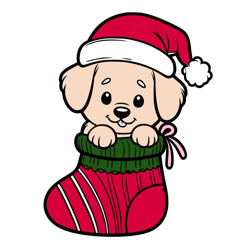 cute puppy wearing santa hat in socking