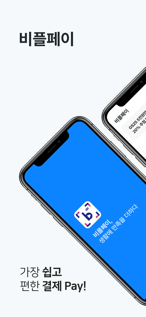 Bipple Pay mobile app interface on a smartphone showing the logo and Korean text for easy payments