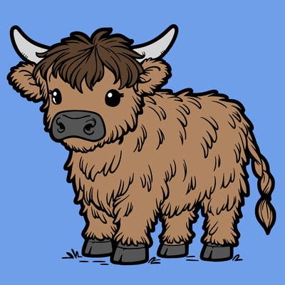 highland cow