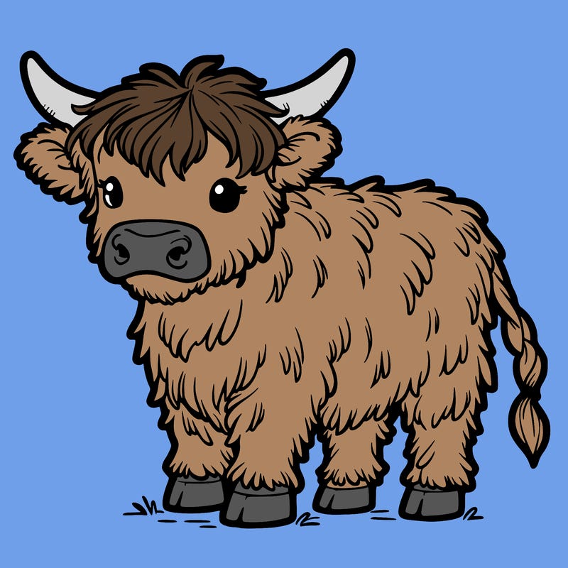 highland cow
