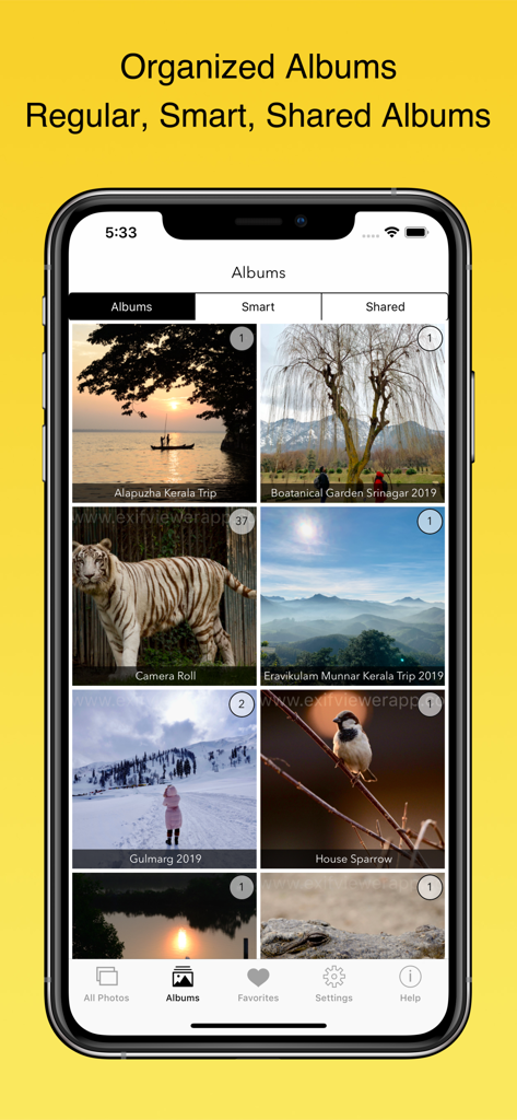 EXIF Viewer by Fluntro - iPhone上の整理された写真アルバムを表示するEXIFビューアアプリのインターフェース