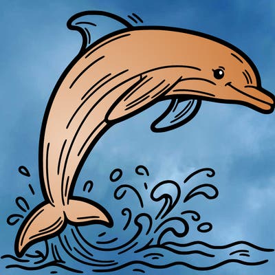 dolphin
