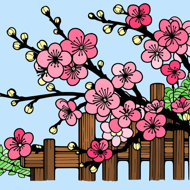 japan cherry blossom