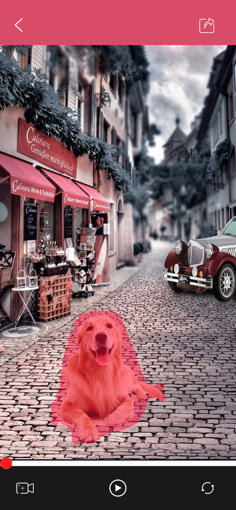Interface of Video Retouch app showing a dog highlighted in red to be removed from a street video