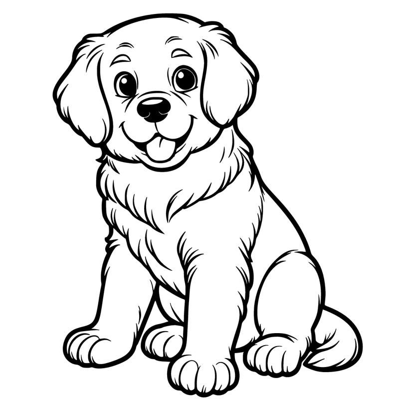 golden retriever puppy