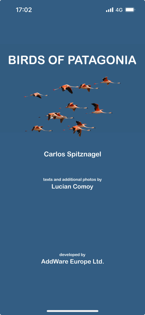 Birds of Patagonia - Birds of Patagonia mobile app splash screen featuring a flock of flamingos in flight against a blue background