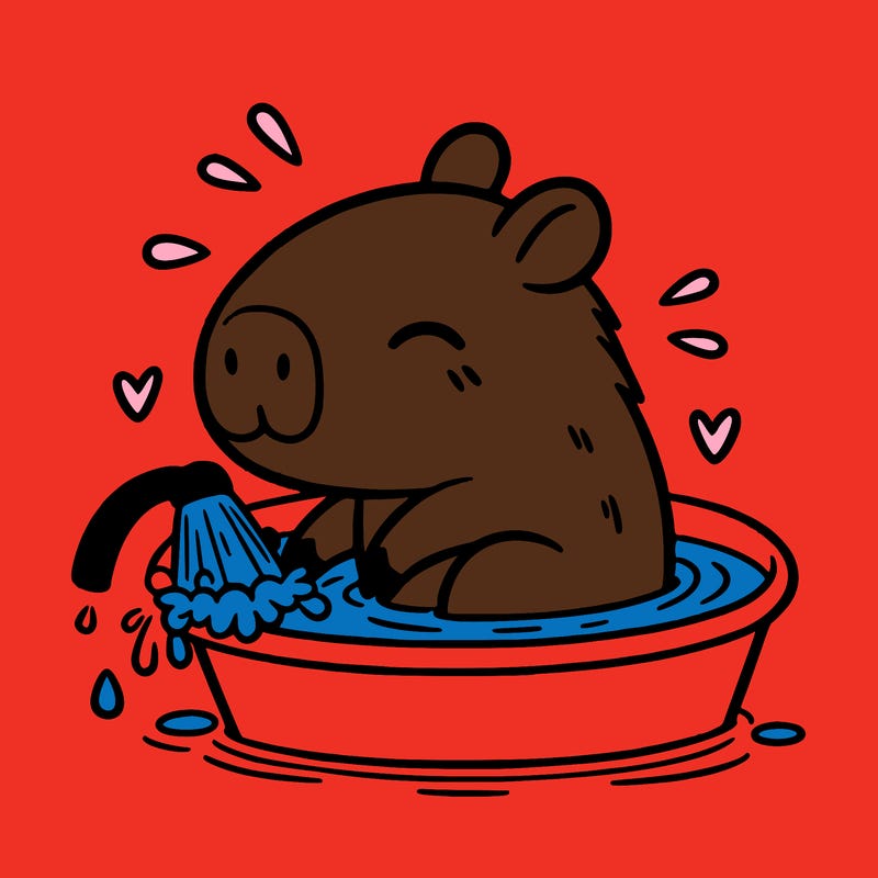 capybara taking a bath