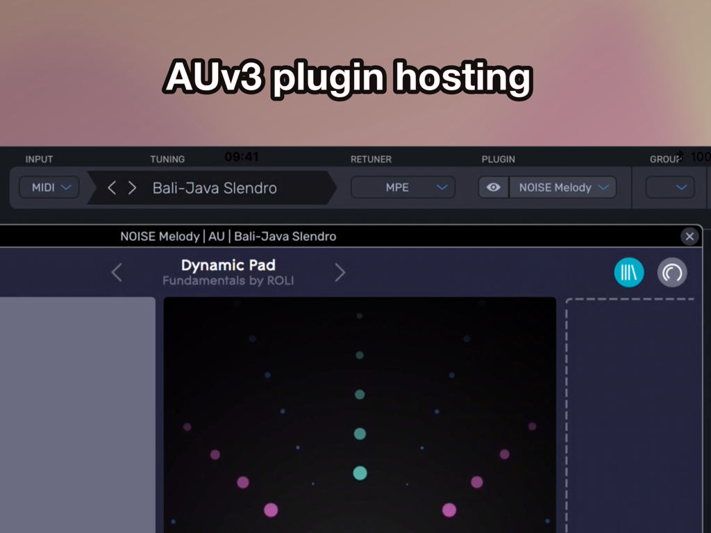 Entonal Studio - Interface do aplicativo Entonal Studio mostrando hospedagem de plugin AUv3 com afinação microtonal e configurações MPE