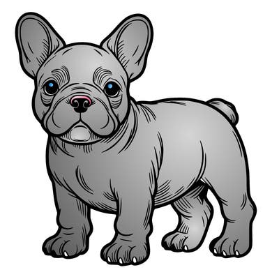 french bulldog