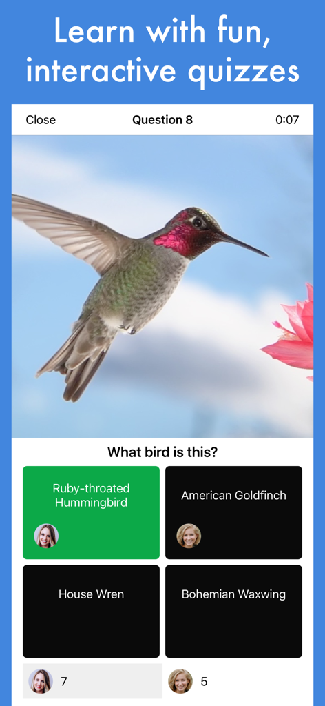 Smart Bird ID: Bird Identifier - An interactive bird identification quiz in the Smart Bird ID app featuring a ruby-throated hummingbird