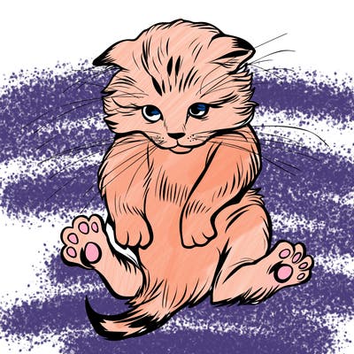 animals_20