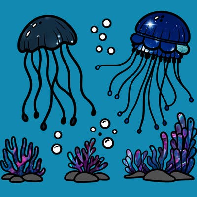 jelly fish